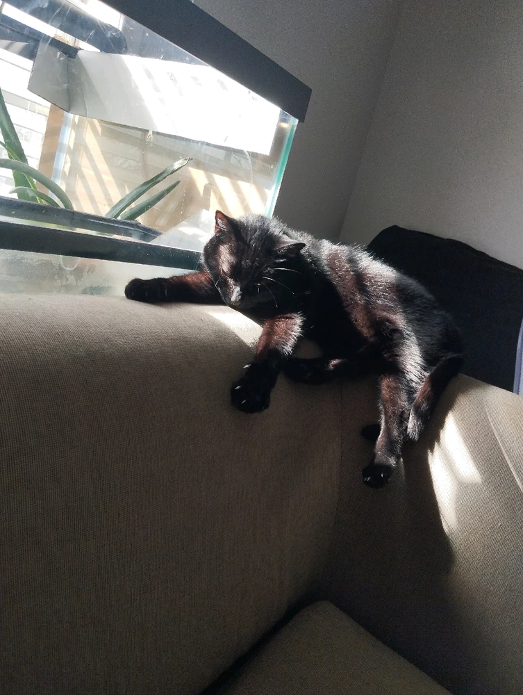 GIF uploaded by autumn