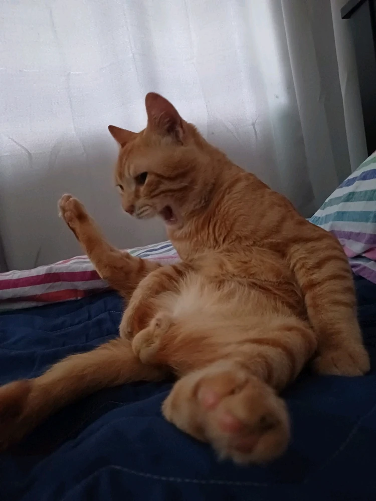 GIF uploaded by 𝕊𝕥𝕒𝕪𝕔𝕖