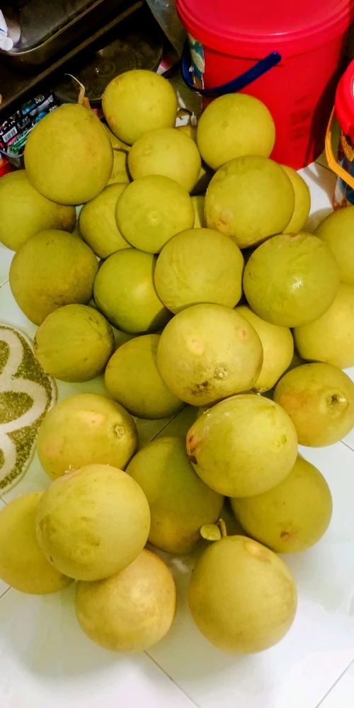 Image uploaded by Jann