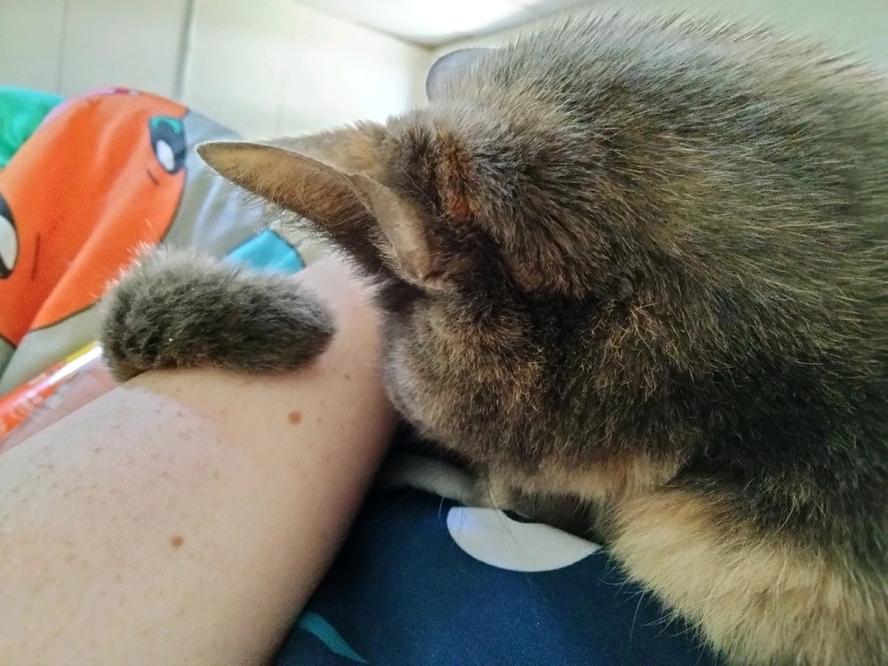 GIF uploaded by Alex