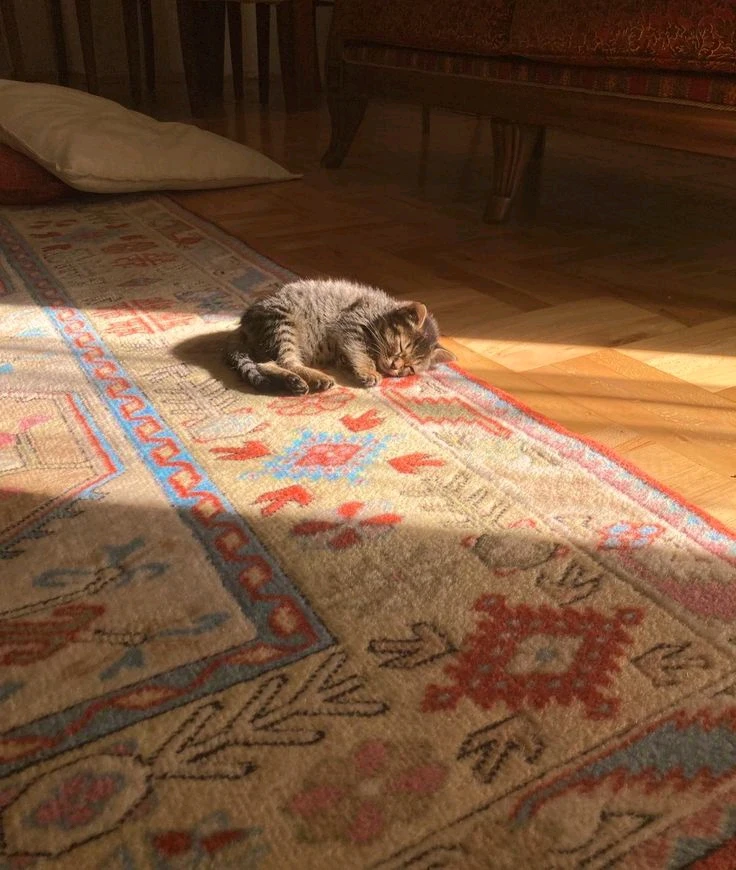 GIF uploaded by Malena