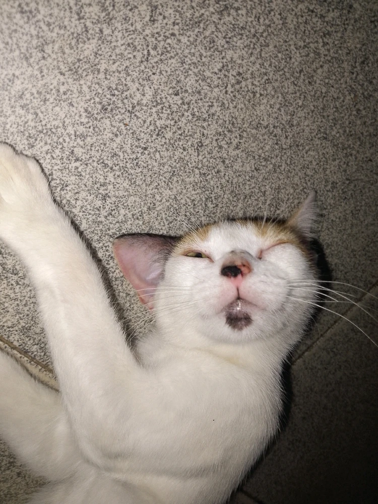 Image uploaded by ZacharyKai