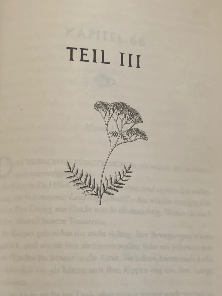 GIF hochgeladen von Joy