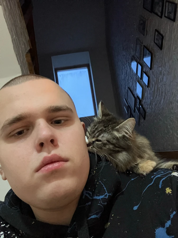 GIF dodany przez Rafał