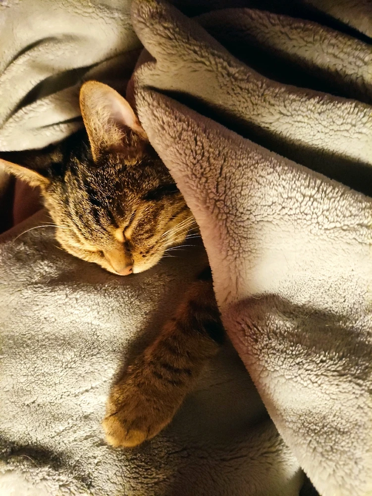 GIF uploaded by Nathalie