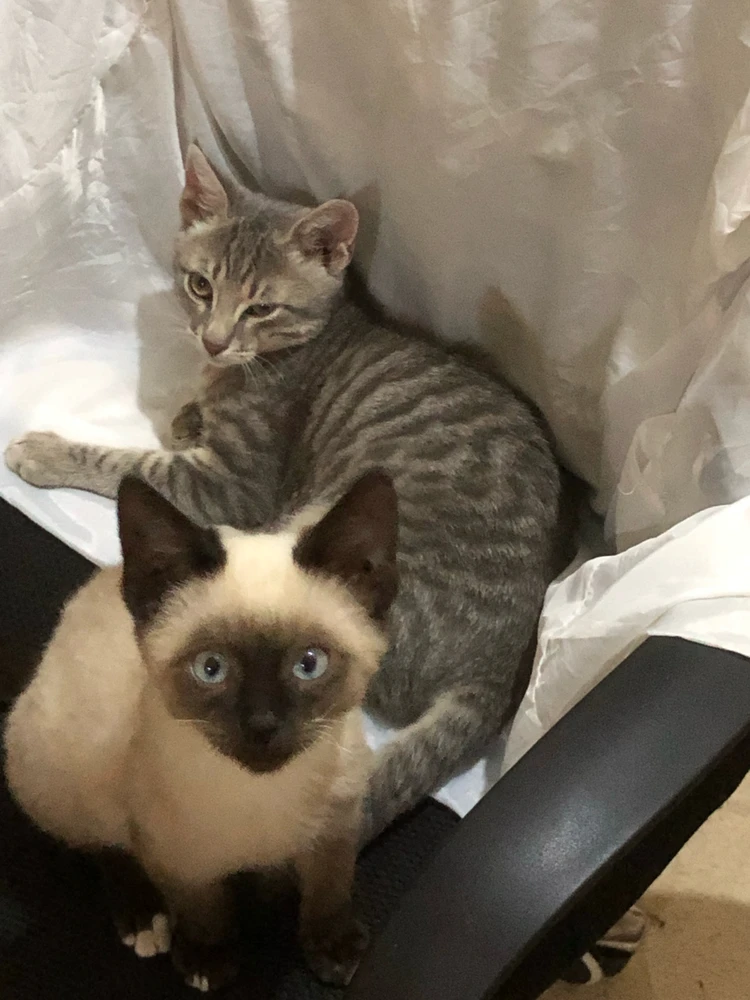 GIF uploaded by Tienne