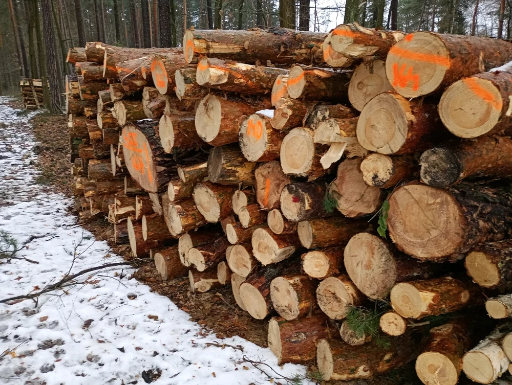 GIF dodany przez Bob