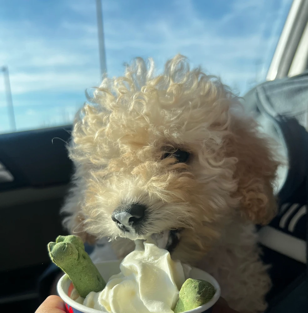 GIF uploaded by Banesa