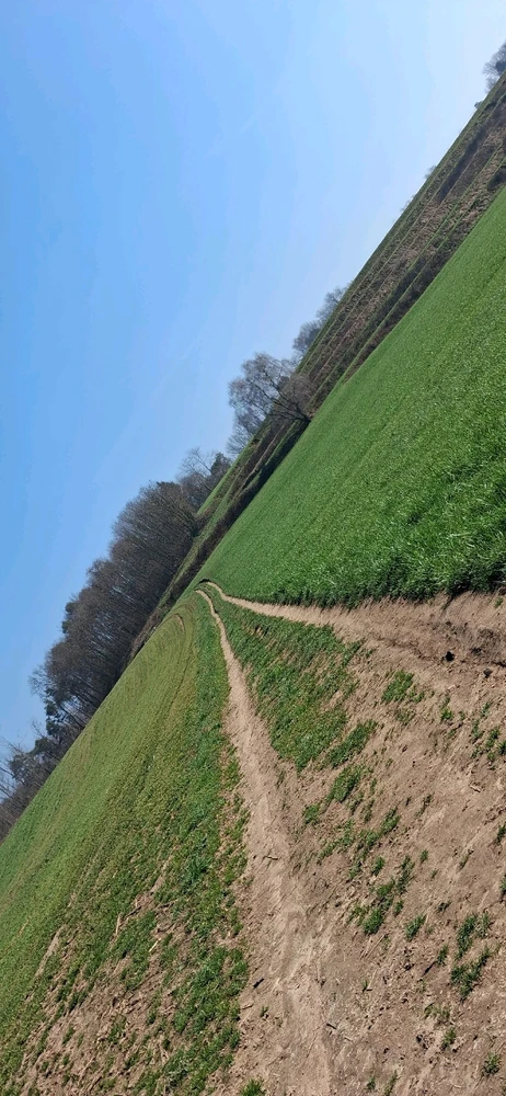 Immagine caricata da Ely