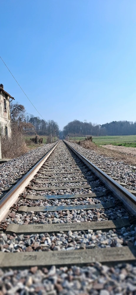 Immagine caricata da Ely