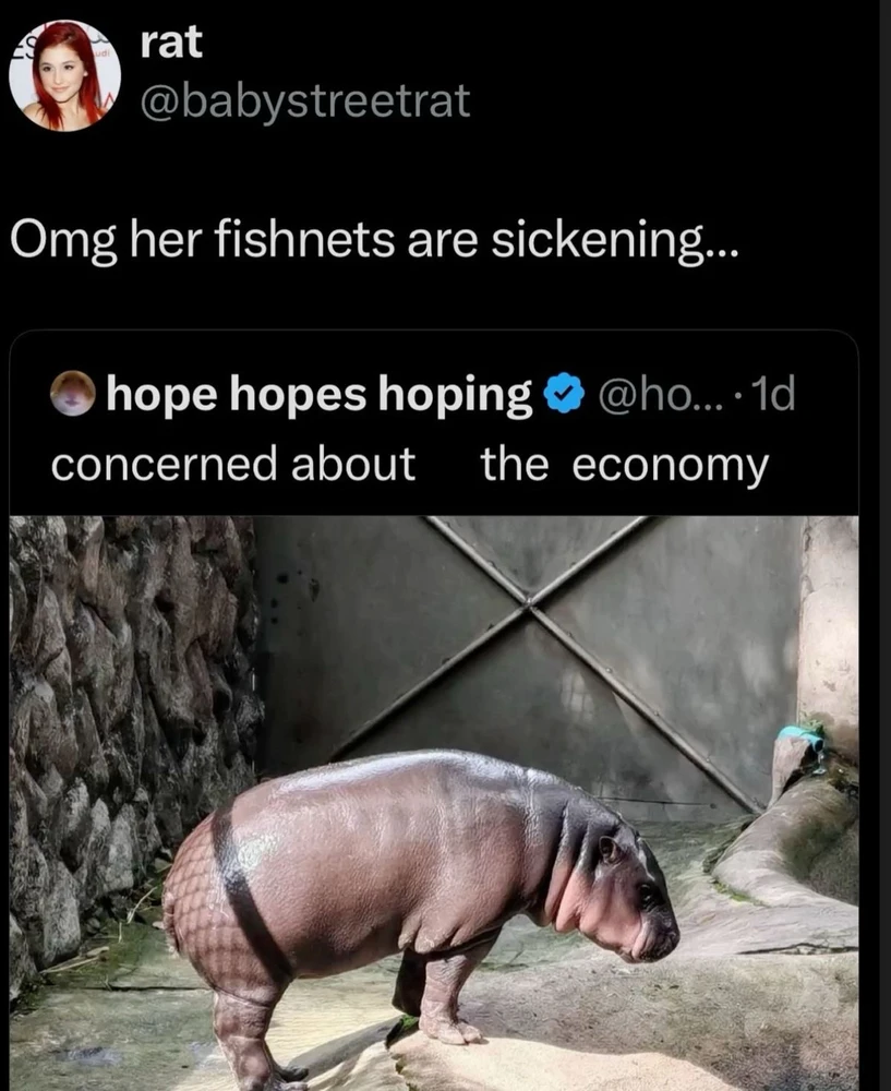 Image uploaded by Kitty