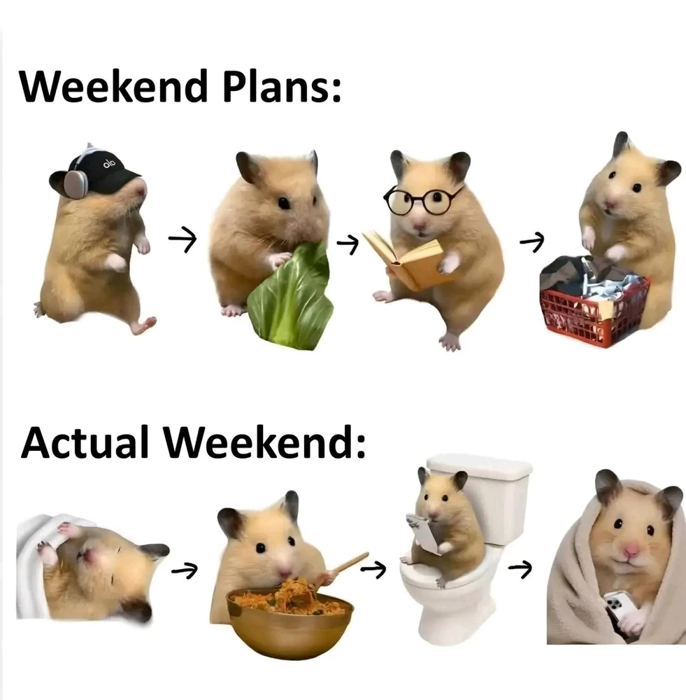 GIF uploaded by Idta