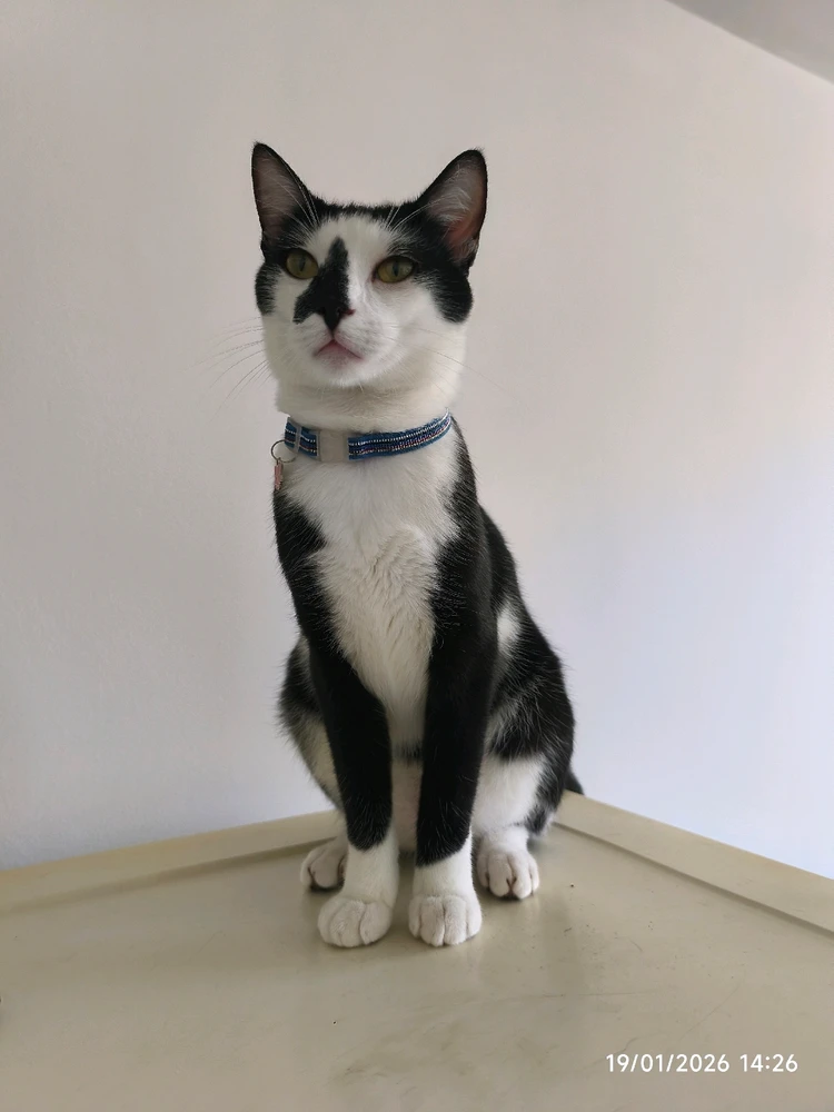 GIF enviado por Gabi