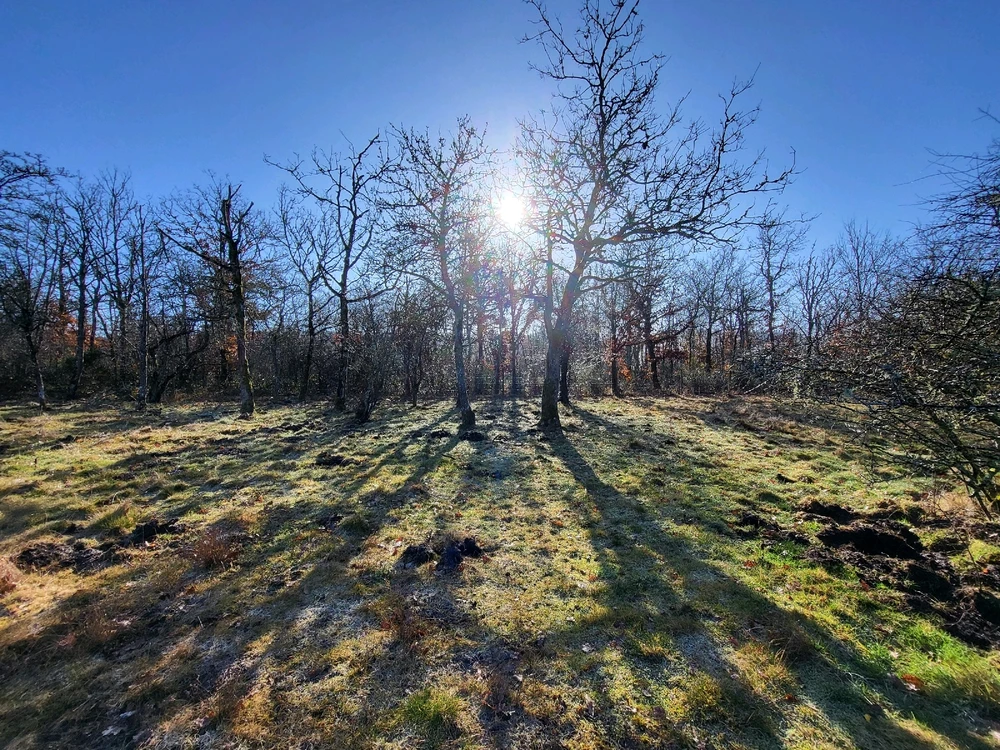 Image ajoutée par Ethan