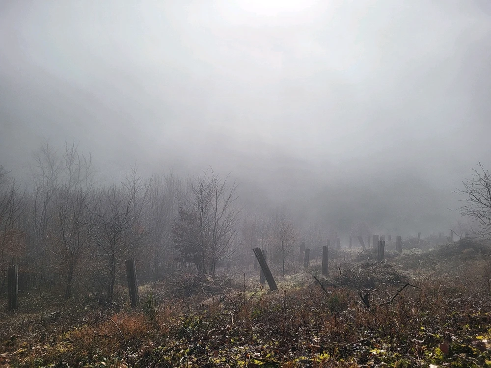 Image ajoutée par Ethan