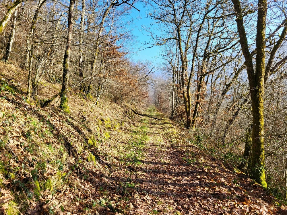 Image ajoutée par Ethan