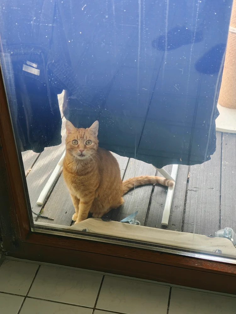 GIF hochgeladen von Tino