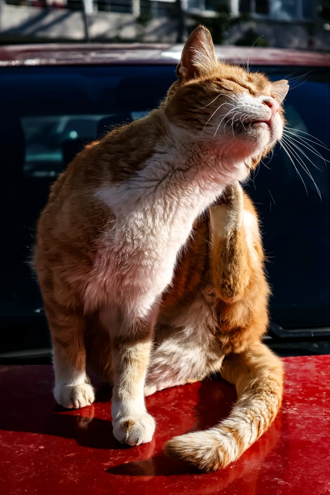 GIF uploaded by Nobody