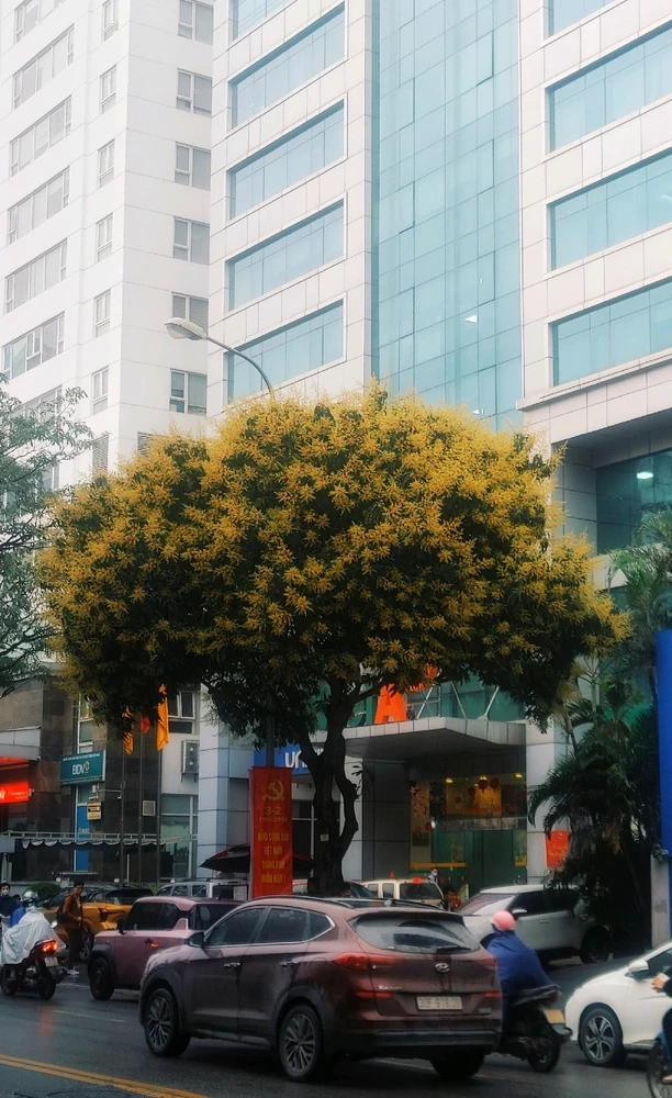 GIF được Boong tải lên