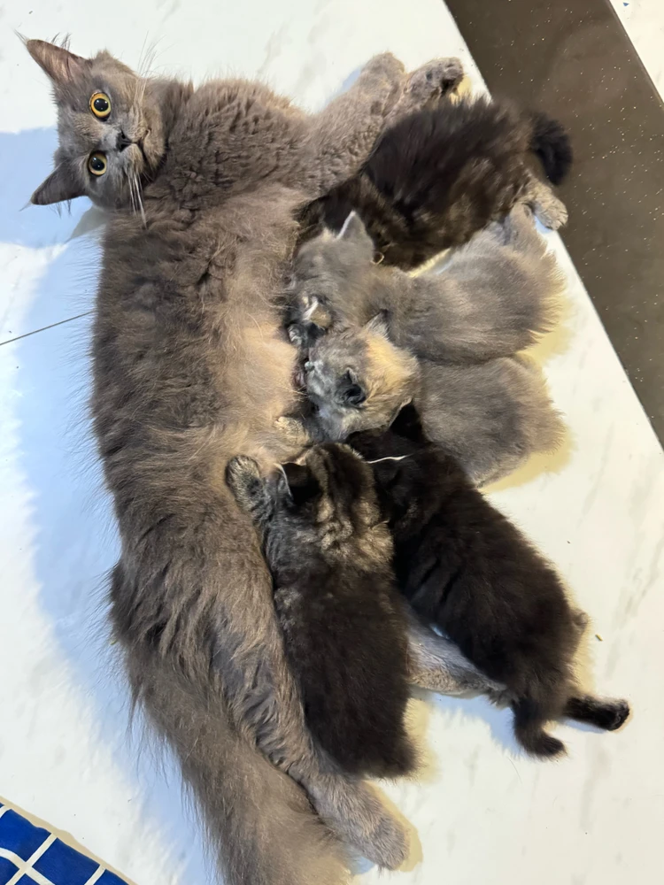 GIF uploaded by anaa