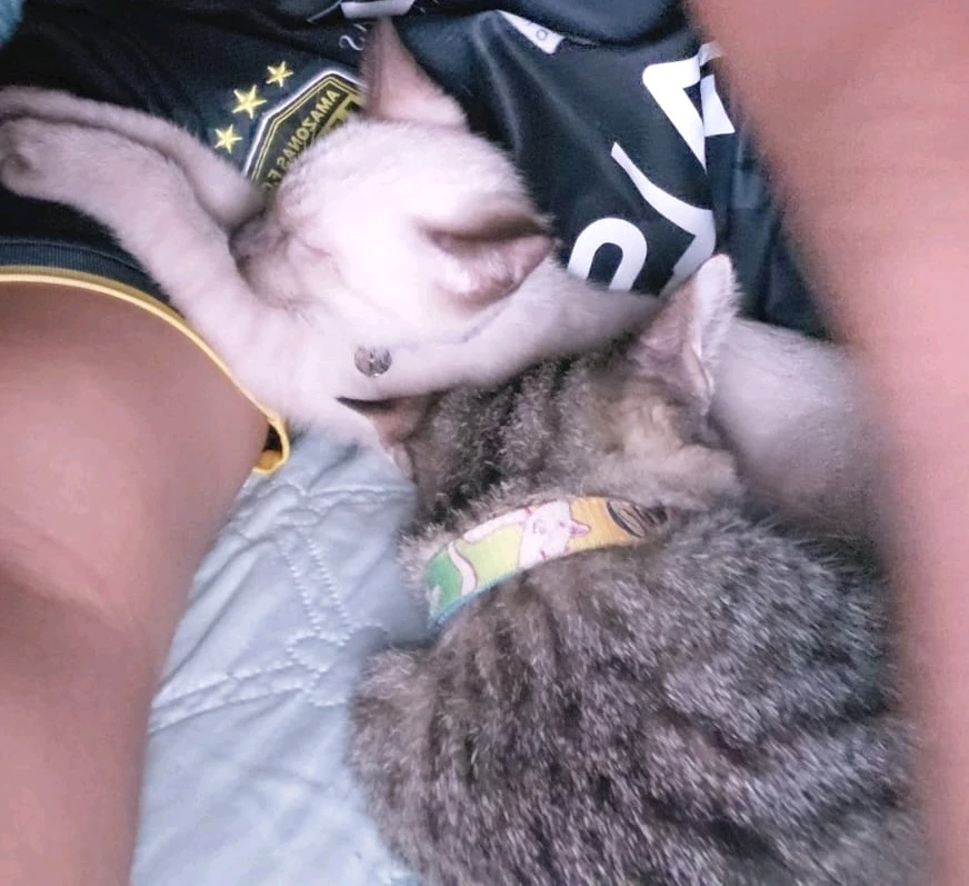 GIF subido por Lucky