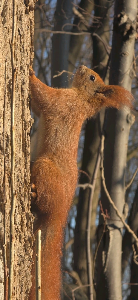 GIF dodany przez Łukasz