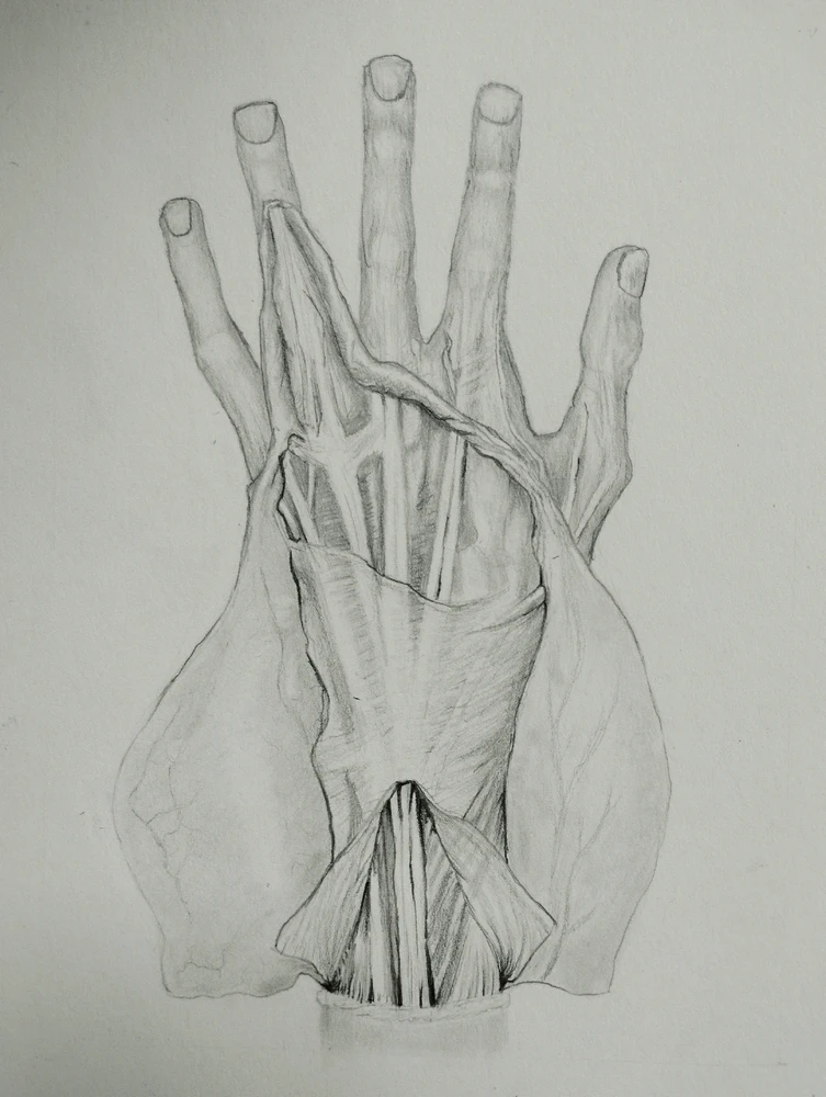 GIF hochgeladen von Luis