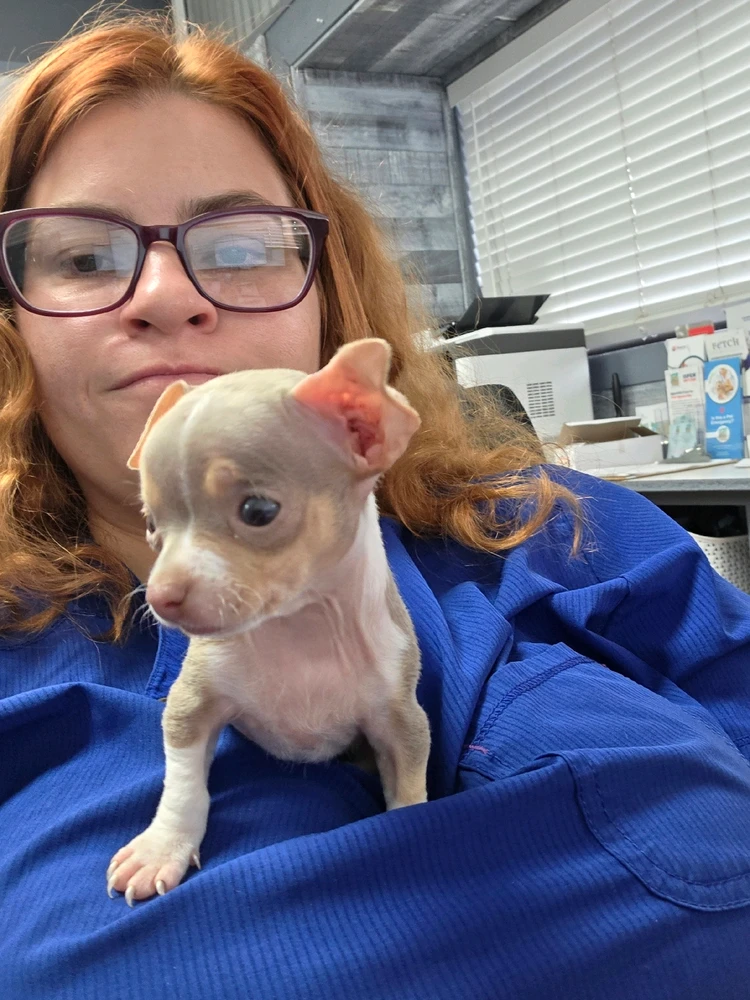 GIF diunggah dening Caitlyn