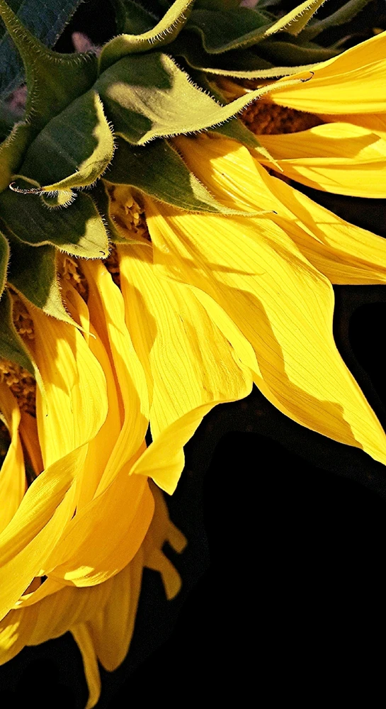 GIF uploaded by Kate