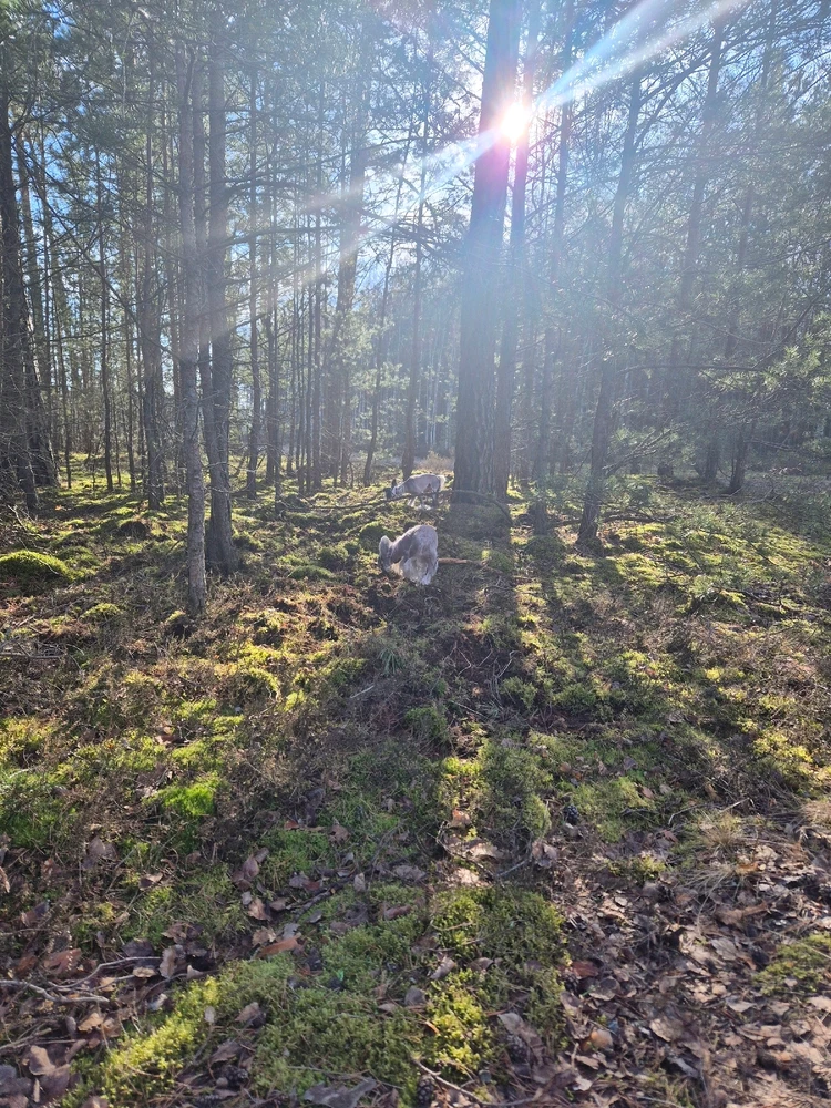 GIF dodany przez Paula