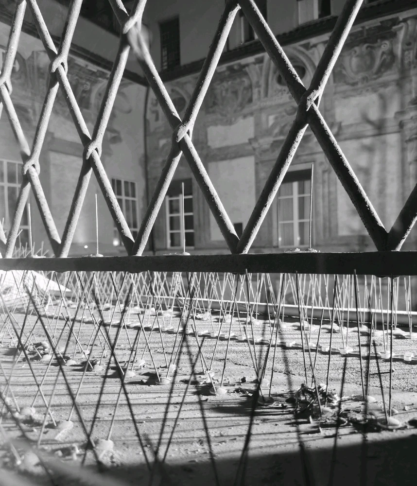 Immagine caricata da Giulio