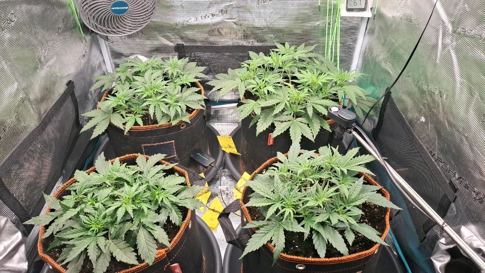 Bild hochgeladen von Oliver