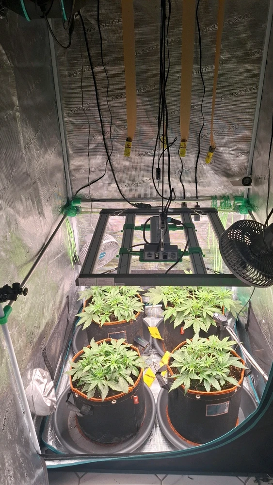 Bild hochgeladen von Oliver