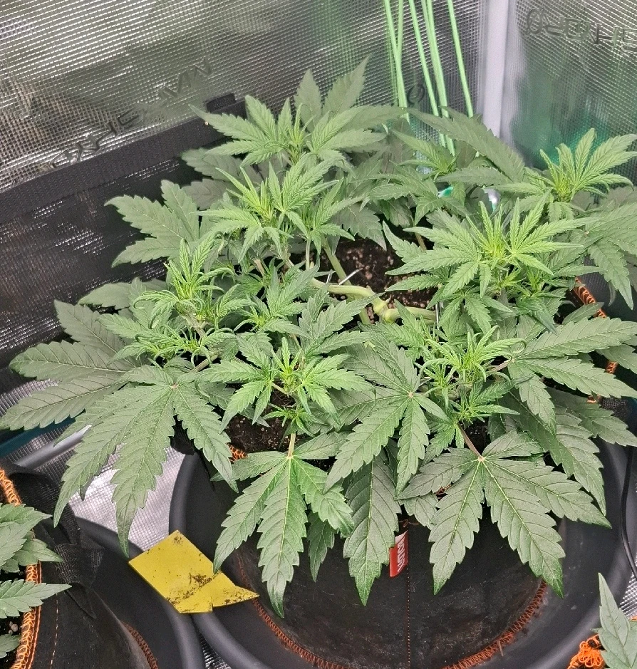 Bild hochgeladen von Oliver