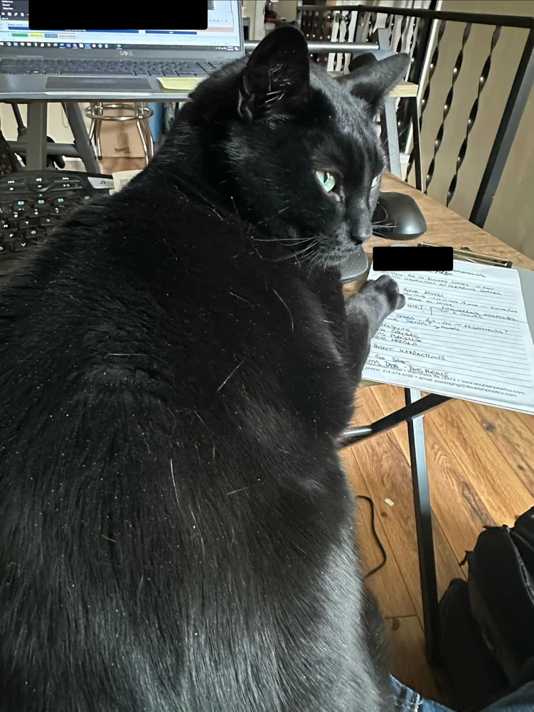 GIF diunggah dening David