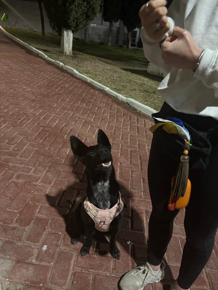 GIF diunggah dening ANDREA GABRIELA