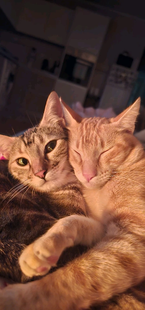 GIF enviado por Lins