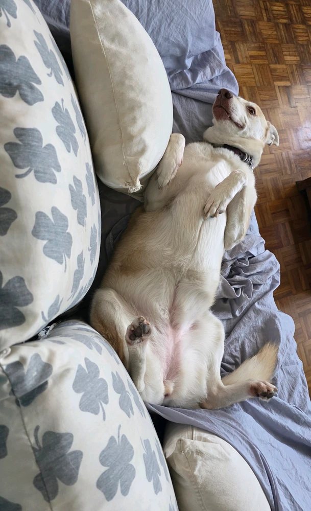 GIF uploaded by Itzcoatl Rodrigo