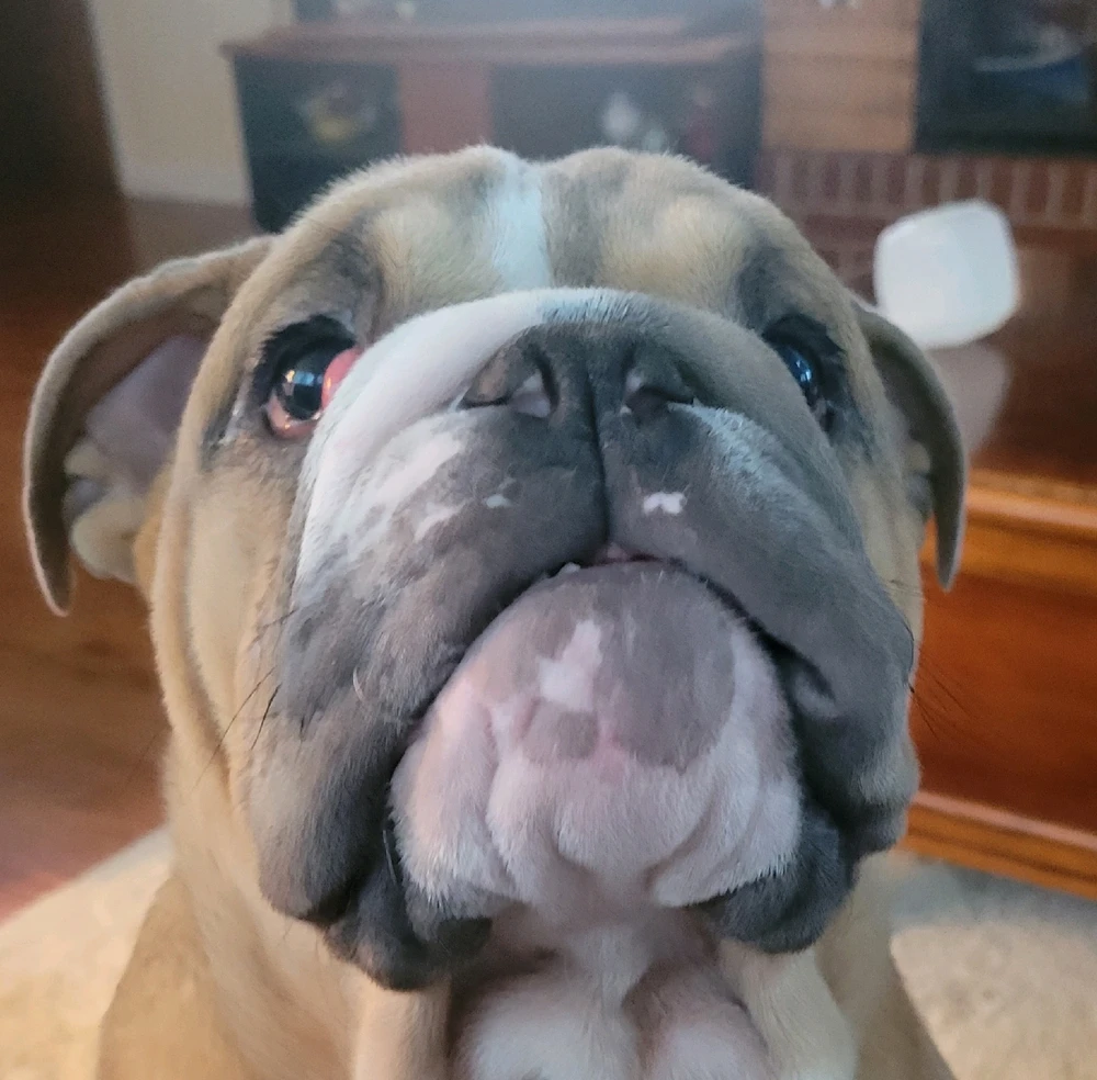 GIF uploaded by Austin