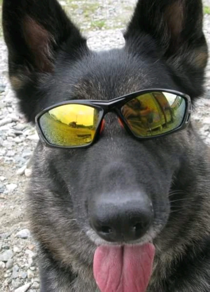 GIF uploaded by Martin