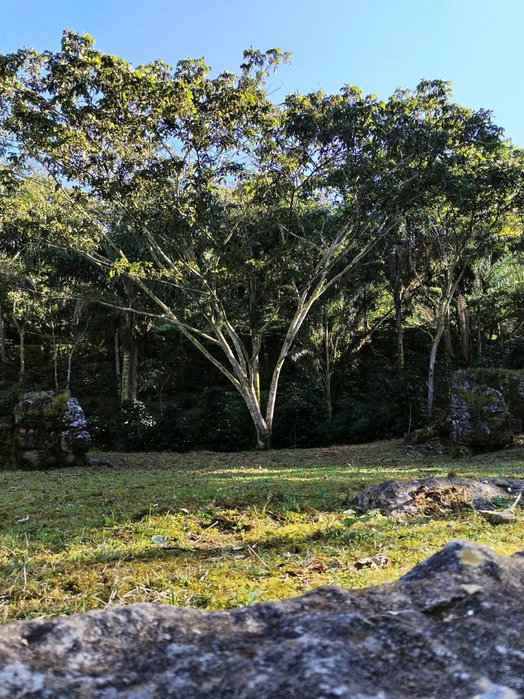 Imagen subida por Høst