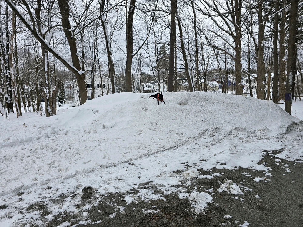 Image uploaded by Michael B