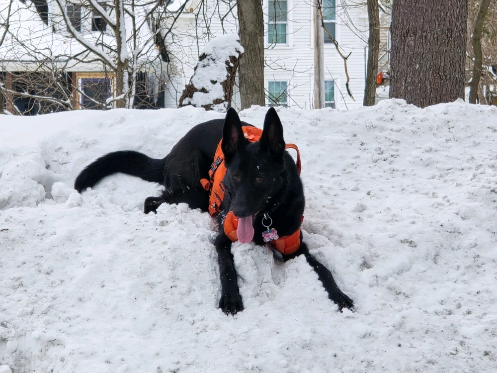 Image uploaded by Michael B