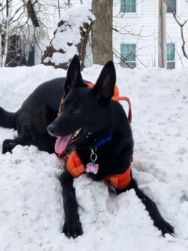 Image uploaded by Michael B