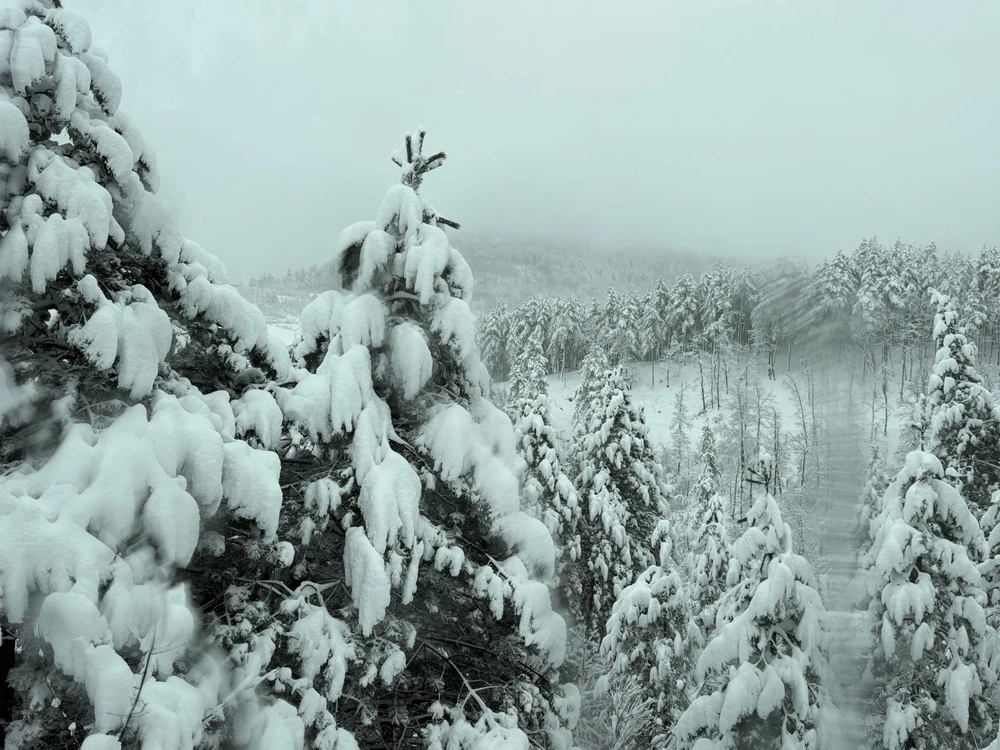 Sliku je postavio/la Ivan