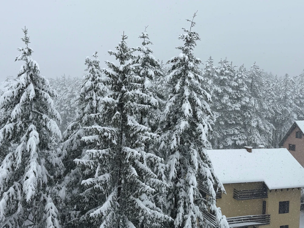 Sliku je postavio/la Ivan