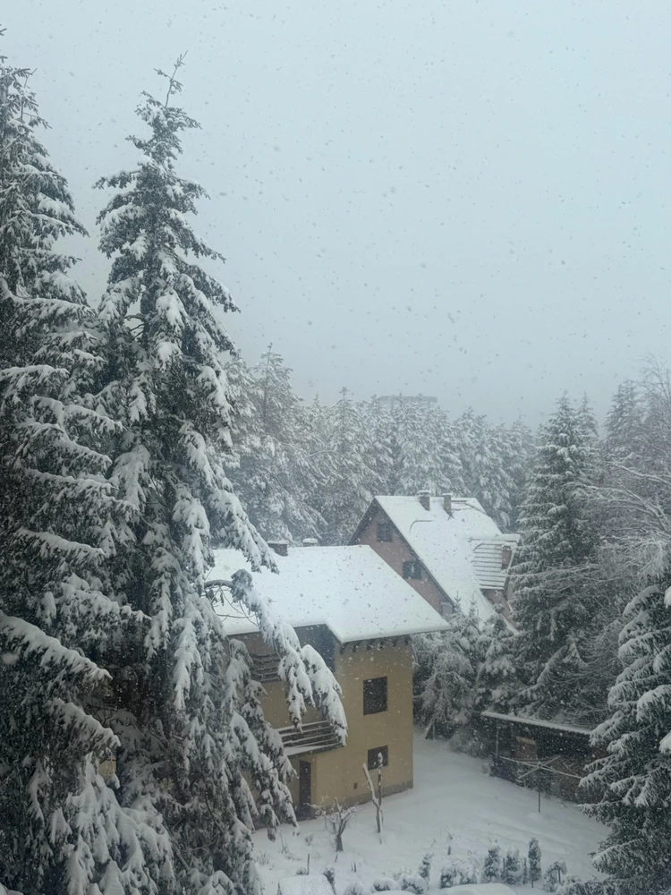 Sliku je postavio/la Ivan