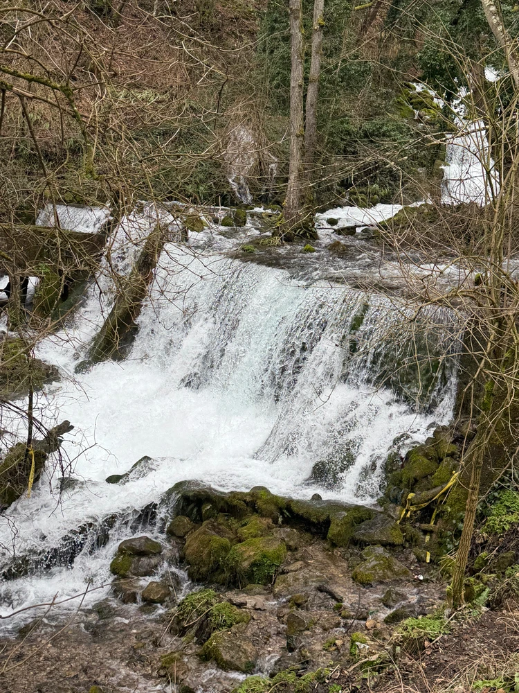 Sliku je postavio/la Ivan