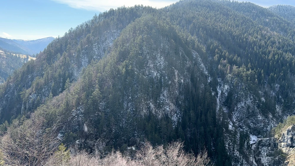 Sliku je postavio/la Ivan