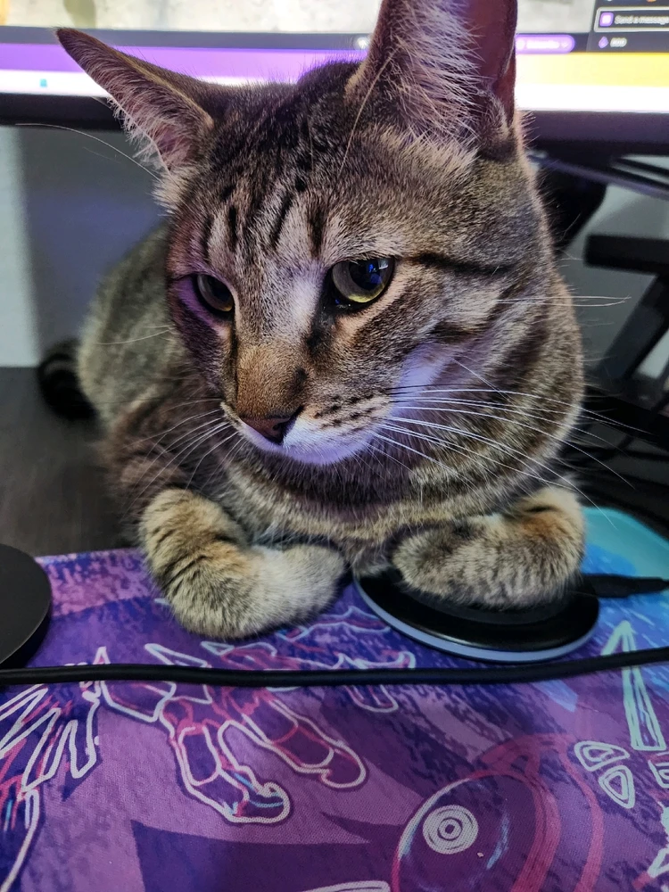 GIF uploaded by Alex